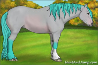 Horse Color:Watercolor Buckskin 