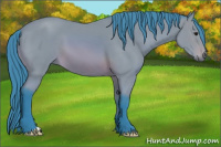 Horse Color:Watercolor Buckskin 