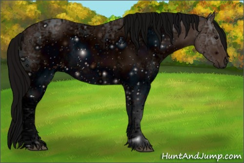 Horse Color: ERROR: UNKNOWN ANOMALY