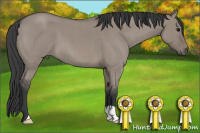 Horse Color:Grullo Roan 