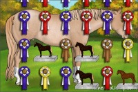 Horse Color:Liver Chestnut Pearl Rabicano 