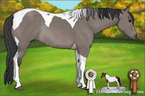 Horse Color: Grullo Tobiano Rabicano 