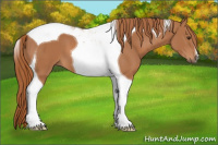 Horse Color:Chestnut Tobiano 