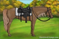 Horse Color:Chocolate Palomino 