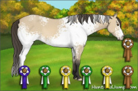 Horse Color:White Spotted Buckskin Dun 