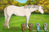 Horse Color:White Spotted Perlino 