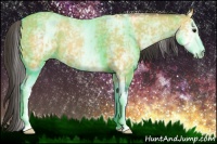 Horse Color:White Spotted Buckskin 