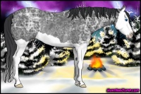 Horse Color:Black Ice Splash Rabicano