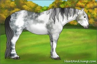 Horse Color:Gray White Spotted Black Ice Frame 