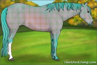 Horse Color:Watercolor Plaid  Buckskin 