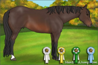 Horse Color:Brown 