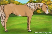 Horse Color:Palomino Frame 