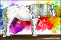 Horse Color:Gray Watercolor Bay Appaloosa 