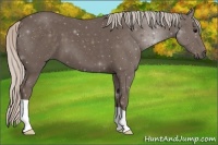 Horse Color:Silver Black 