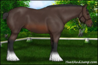 Horse Color:Brown 
