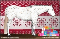 Horse Color:Chestnut Appaloosa 