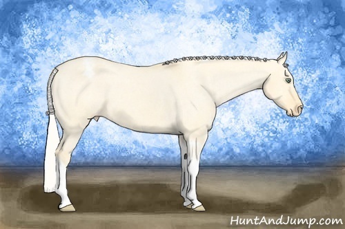 Horse Color: Silver Amber Cream Champagne Dun Tobiano Snowcap 