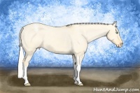 Horse Color:Silver Amber Cream Champagne Dun Tobiano Snowcap 