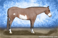 Horse Color:Bay Frame Appaloosa 