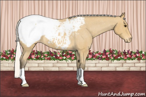 Horse Color: Silver Buckskin Roan Snowcap 