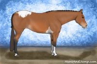 Horse Color:Bay Tobiano Snowcap 