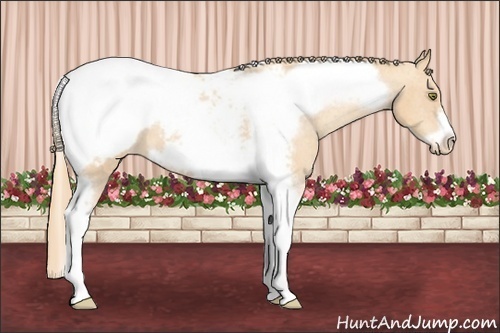 Horse Color: Gold Champagne Tobiano Frame Snowcap 