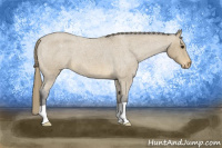 Horse Color:Buckskin Roan Snowcap 