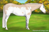 Horse Color:Silver Classic Champagne Roan Dun Splash Frame