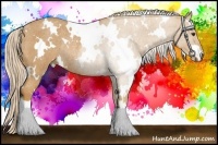 Horse Color:White Spotted Palomino Roan Rabicano