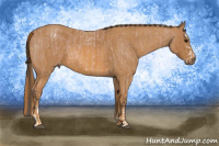 Horse Color:Bay Roan Splash Frame Appaloosa Brindle