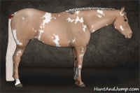 Horse Color:White Spotted Silver Black Pearl 