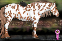 Horse Color:Liver Chestnut Sabino Appaloosa 