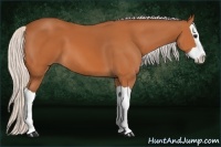 Horse Color:Silver Bay Splash 