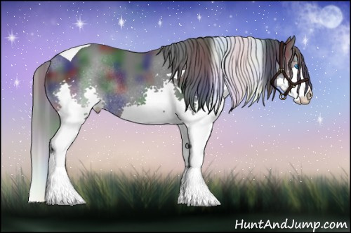 Horse Color: Nacre Black Splash Tobiano Rabicano 