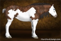 Horse Color:Bay Ice Splash Frame