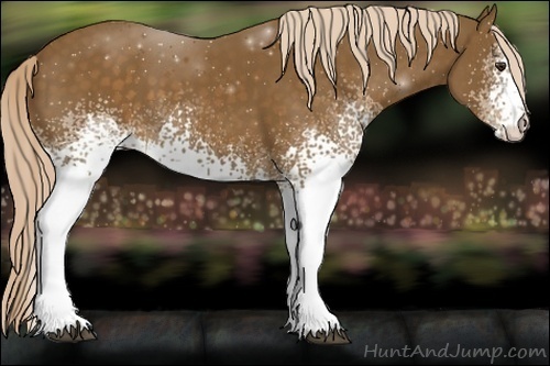 Horse Color:White Spotted Chocolate Palomino 