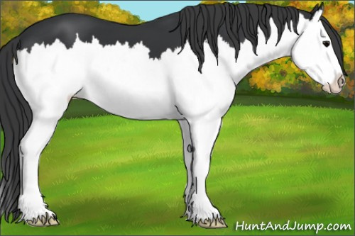 Horse Color: Brown Splash 