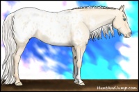 Horse Color:Silver Smoky Grullo Pearl Blanket 
