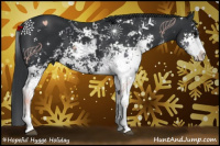 Horse Color:Black Sabino