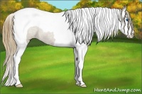 Horse Color:Smoky Grullo Splash Tobiano Varnish Rabicano 