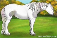 Horse Color:Gray Nacre Silver Smoky Black Splash Tobiano Rabicano 