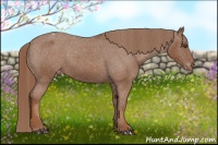 Horse Color:Chestnut Blanket 