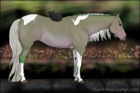 Horse Color:Watercolor Silver Bay Tobiano 