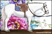 Horse Color:Gold Cream Champagne Frame Near Fewspot 