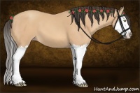 Horse Color:Amber Champagne Splash 