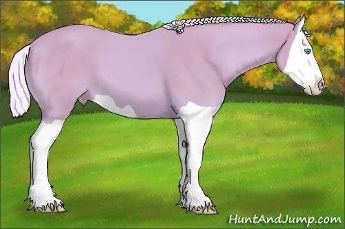 Horse Color: Watercolor Cremello Splash 