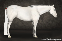 Horse Color:Gold Cream Champagne Pearl 