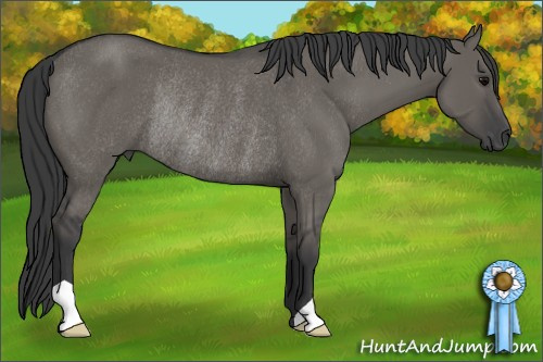 Horse Color: Grullo Rabicano 