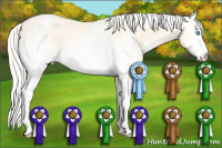 Horse Color:White Spotted Silver Buckskin Pearl Dun