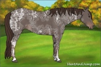 Horse Color:Liver Chestnut Ice 